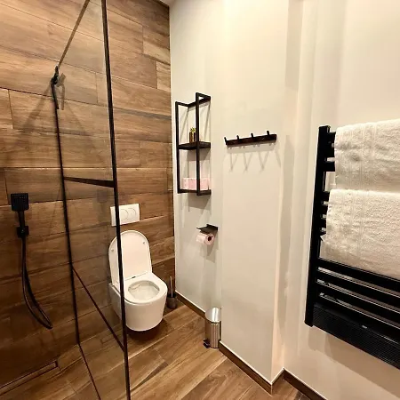 Appartement Grand T2 Refait A Neuf & Place De Parking Saint-Etienne (Loire)